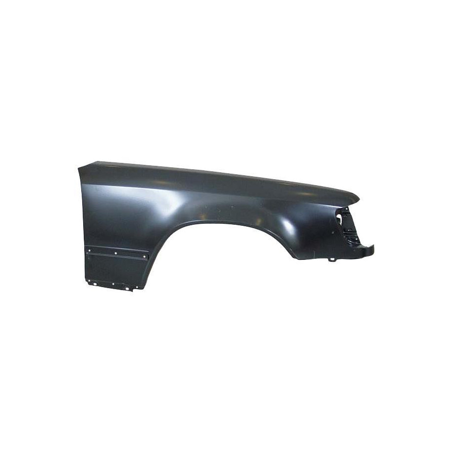MERCEDES-BENZ 124 limuzina (W124) [12/84-08/93], Blatnik P